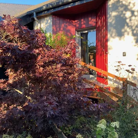 Apartment Dashausderfloristin Noertrange